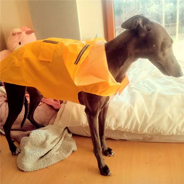 Wasserdichter Hunde-Regenmantel, reflektierende Kapuzenjacke, Regenponcho, alle Größen