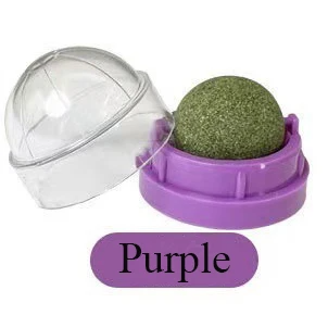 Catnip Wall Ball Toy