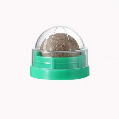 Catnip Wall Ball Toy