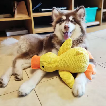 Honden Pluche Eend Speeltje Interactief Piepend Comfort Speeltje Puppy Kauw Teddy