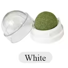 Catnip Wall Ball Toy