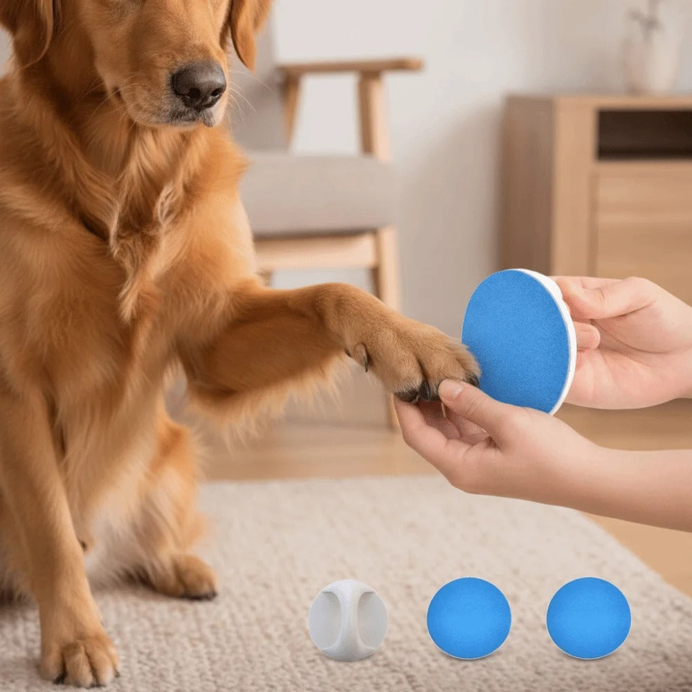 Pet Nail Grinding Pad