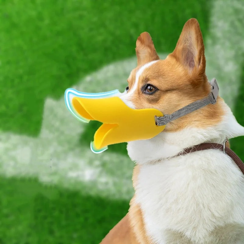 Silikon-Hundeschnauze im Enten-Design